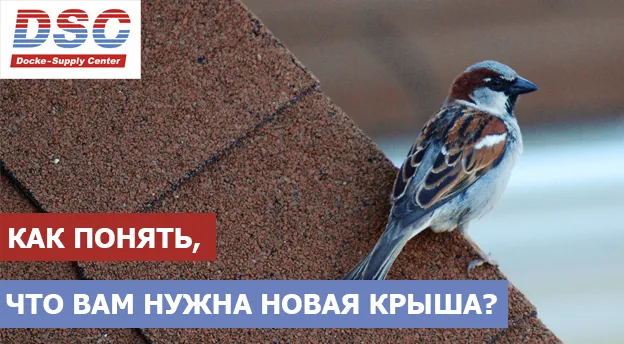 Как понять, что вам нужна новая крыша?