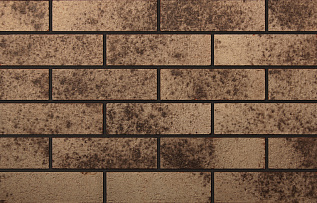 Клинкерная плитка из обожженной глины 240x71 мм (MOON STONE) бежевый	