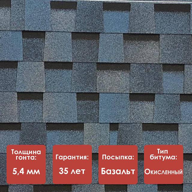 голубика голубика